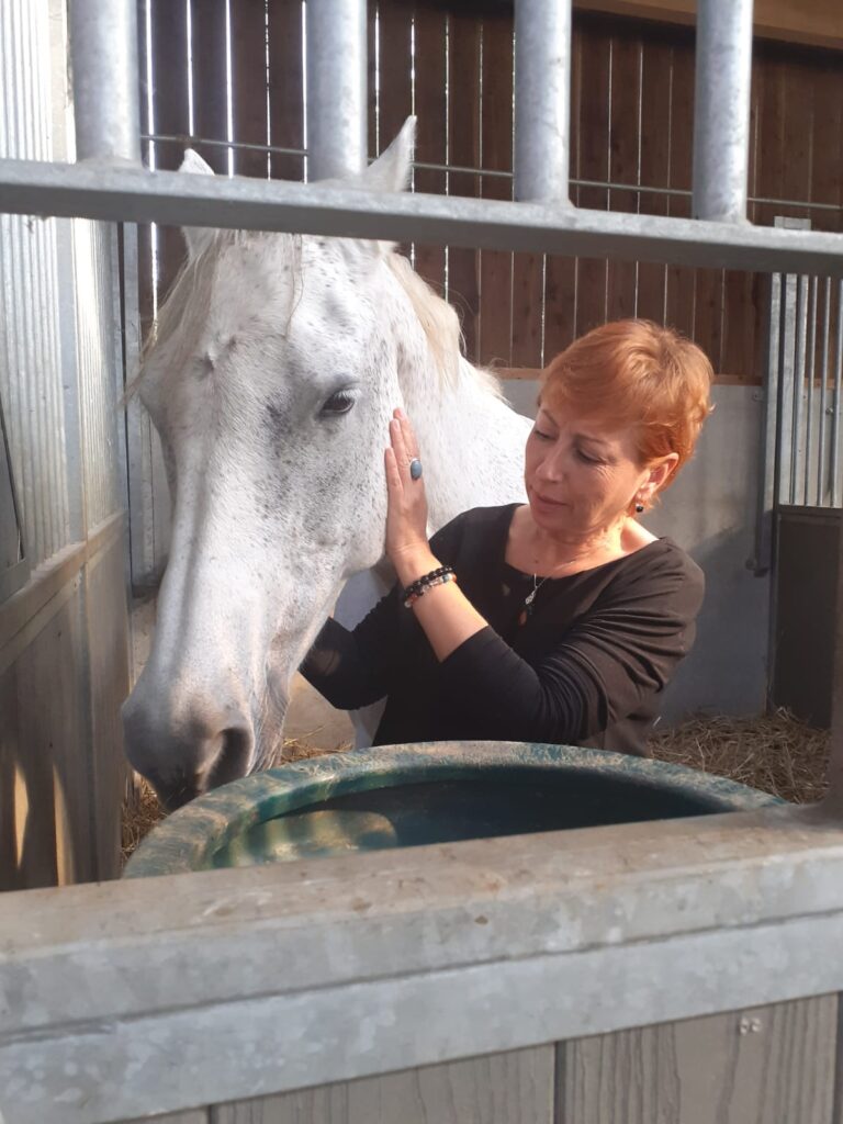 Kinésiologie animale - Reflexologie des fascias en passif sur cheval