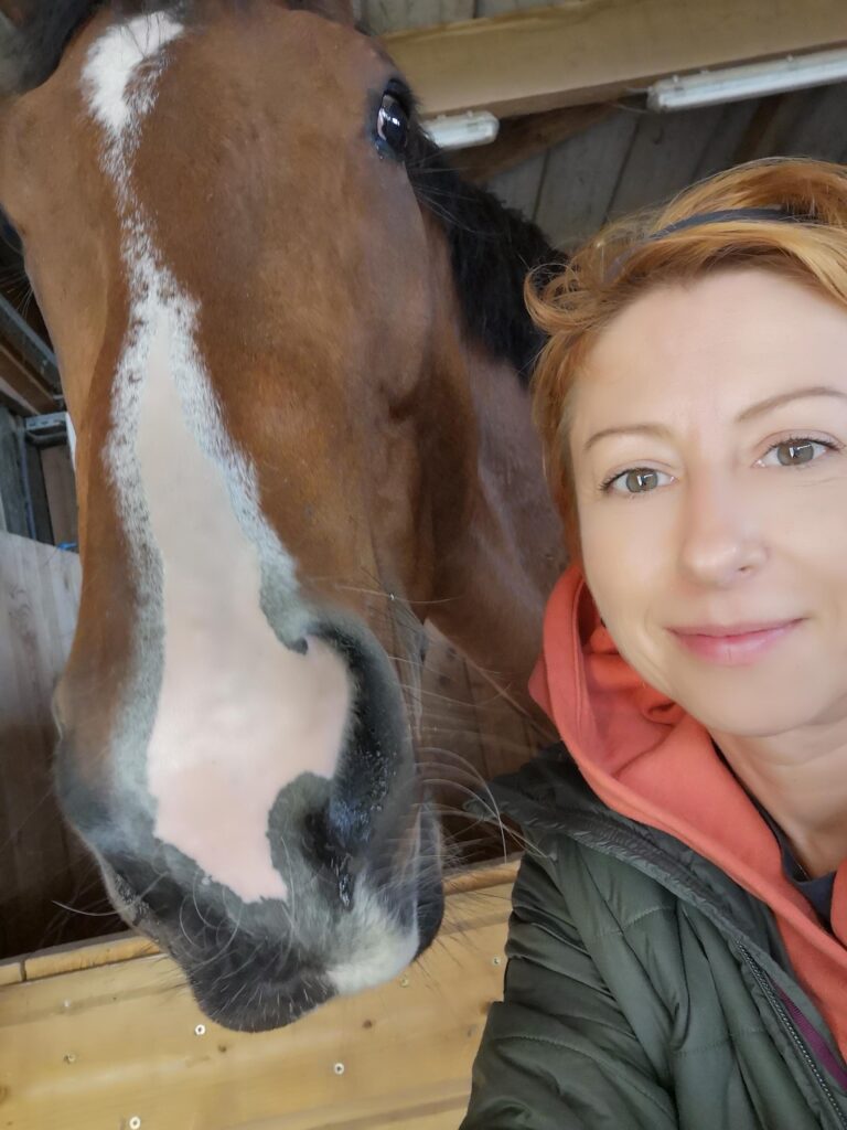 séance de naturopathie avec les chevaux