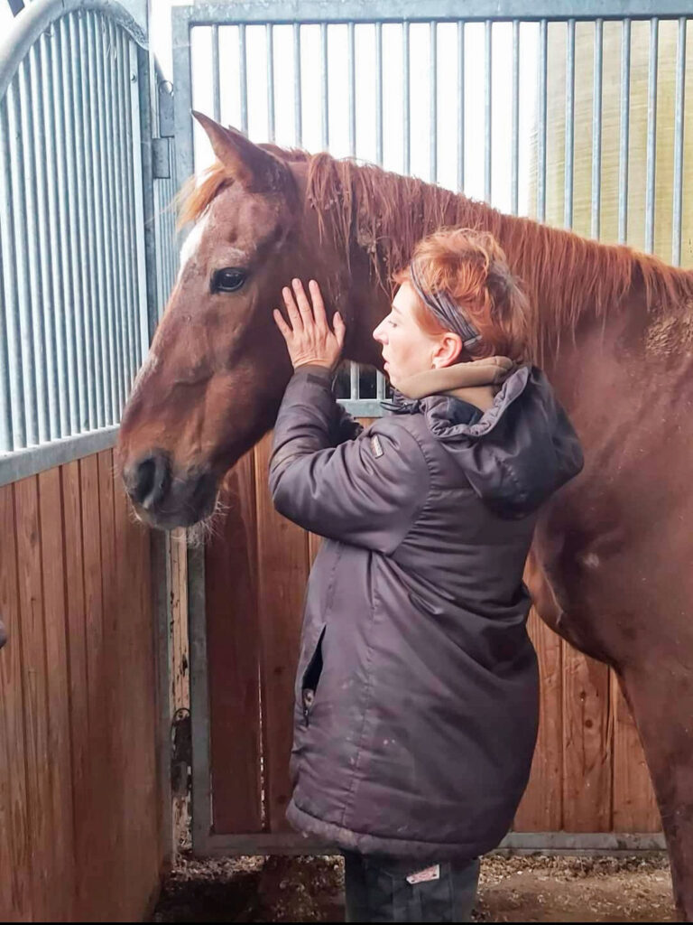 séance de kinésiologie sur cheval